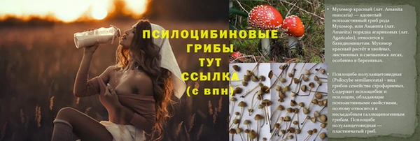 меф Заводоуковск