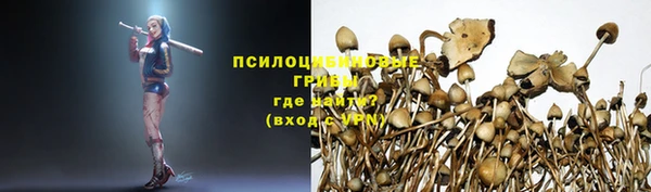 spice Заволжск