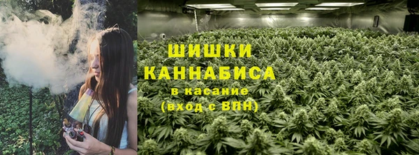 меф Заводоуковск