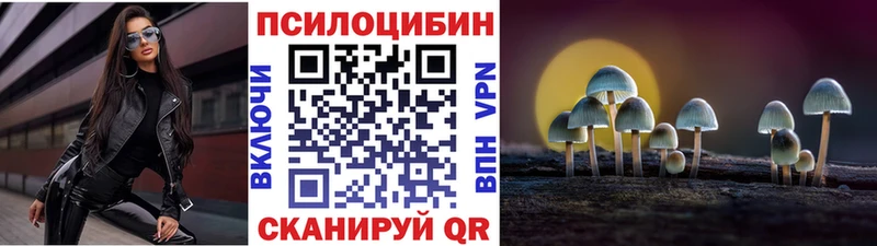 Псилоцибиновые грибы Psilocybine cubensis  Каменногорск 